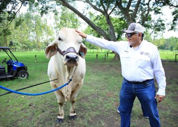 La visita del MAGA a Rancho Siguacán reforzó el compromiso del ministerio con la promoción de la ganadería sostenible en todo el país. / Foto: MAGA.