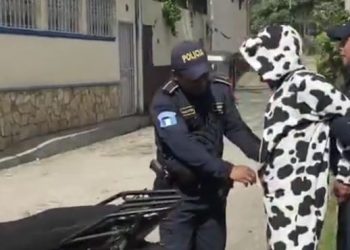 Capturan a hombre disfrazado de vaca que portaba un cuchillo