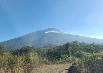 Unen esfuerzos para la reforestación del Cerro Pecul en Suchitepéquez