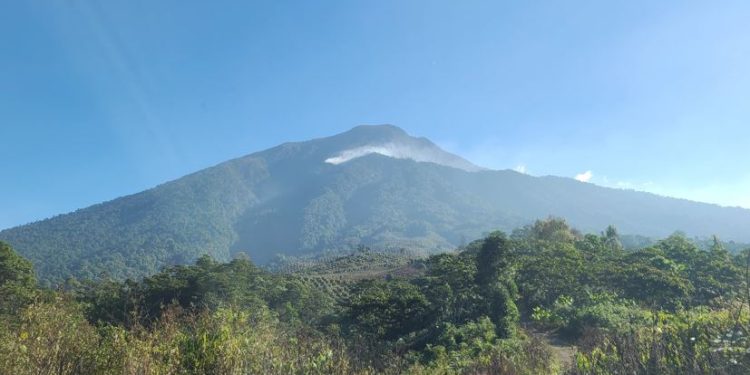 Unen esfuerzos para la reforestación del Cerro Pecul en Suchitepéquez
