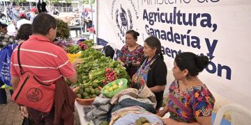 Feria del Agricultor, / Foto: MAGA.