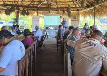 Las MTA representan un esfuerzo colectivo por enfrentar el cambio climático y sus efectos en la agricultura. / Foto: MAGA.