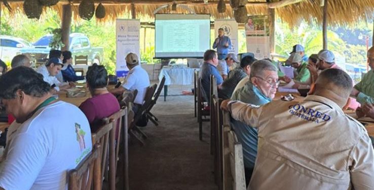Las MTA representan un esfuerzo colectivo por enfrentar el cambio climático y sus efectos en la agricultura. / Foto: MAGA.
