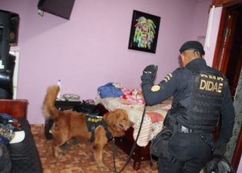 PNC requisa sectores de cárcel Pavón, decomisan teléfonos y cables de internet