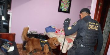 PNC requisa sectores de cárcel Pavón, decomisan teléfonos y cables de internet