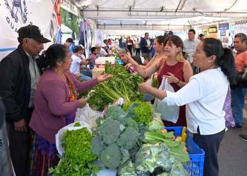 Feria del Agricultor. / Foto: Byron de la Cruz.