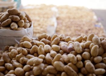 La Feria del Agricultor destaca por su enfoque en llevar productos frescos del campo directamente a la mesa.