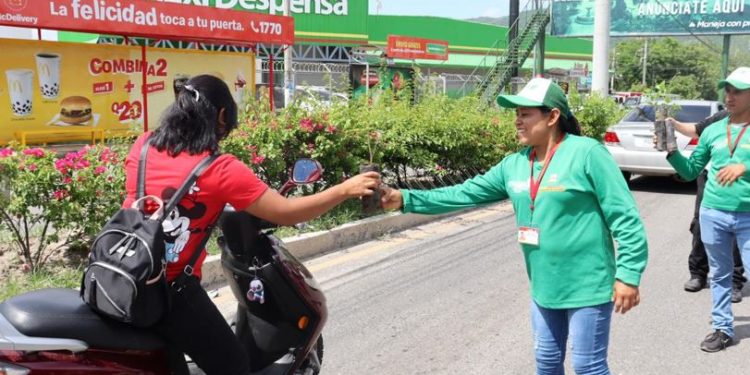 Sembrando Huella: Entregan 3 mil árboles a ciudadanos zacapanecos