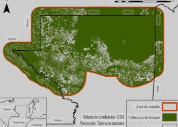 Ministra de Ambiente desmiente acusaciones de saqueo en el Parque Nacional Tikal
