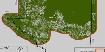 Ministra de Ambiente desmiente acusaciones de saqueo en el Parque Nacional Tikal