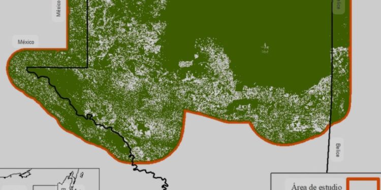 Ministra de Ambiente desmiente acusaciones de saqueo en el Parque Nacional Tikal