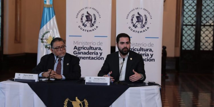 MAGA denuncia corrupción en programas de asistencia alimentaria