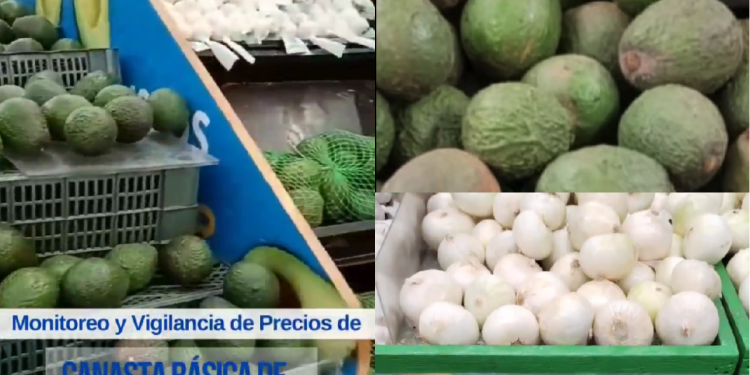 La Diaco verificó precios de aguacates y otros productos de la canasta básica.