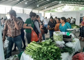 Feria del Agricultor. / Foto: MAGA.