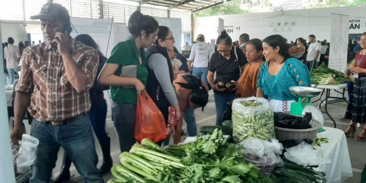 Feria del Agricultor. / Foto: MAGA.