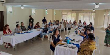 Efectúan trabajo interinstitucional en materia de prevención de embarazos en adolescentes de Izabal