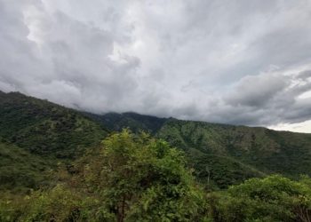 Conap: preocupan atentado y amenazas contra guardarrecursos en Sierra de la Minas