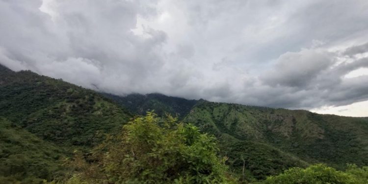 Conap: preocupan atentado y amenazas contra guardarrecursos en Sierra de la Minas