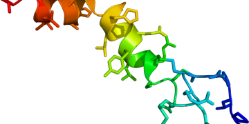 Cadena de orexina en el cerebro. / Foto: Wikipedia.