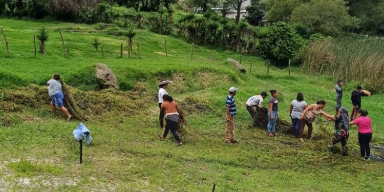 VISAN impulsa la seguridad alimentaria a través de proyectos comunitarios