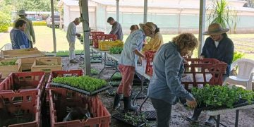 Escuelas se Jutiapa reciben pilones de hortalizas para huertos. / Foto: MAGA.