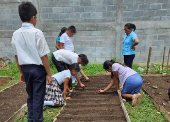 Estudiantes de Petén se benefician con transmisión de conocimientos. / Foto: MAGA.