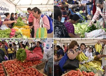 La Feria del Agricultor benefició esta semana a productores y consumidores de seis departamentos.