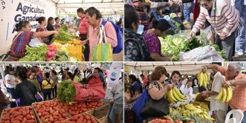 La Feria del Agricultor benefició esta semana a productores y consumidores de seis departamentos.