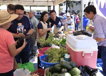 El Ministerio de Agricultura, Ganadería y Alimentación ha realizado en agosto, 13 Ferias del Agricultor a nivel nacional. / Foto: Heber García.