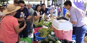 El Ministerio de Agricultura, Ganadería y Alimentación ha realizado en agosto, 13 Ferias del Agricultor a nivel nacional. / Foto: Heber García.