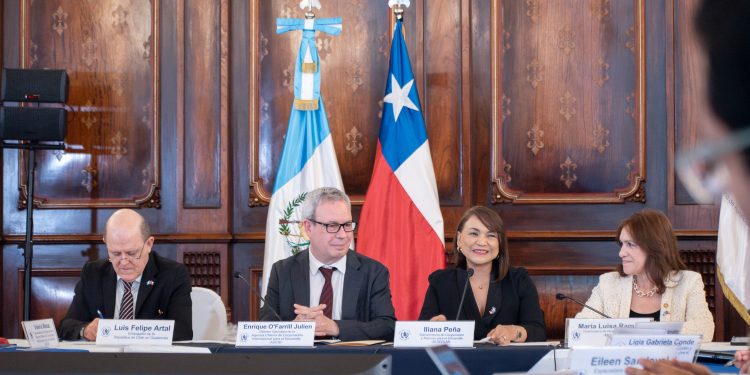 Guatemala y Chile aprueban cuatro iniciativas de cooperación conjunta. Foto: Minex.