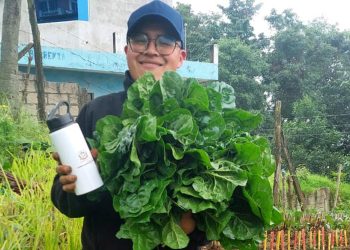 Huertos escolares de San Marcos empiezan cosechas. / Foto: MAGA.