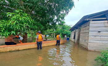 Los ríos Polochic y Matanzas se encuentran sobre su nivel de alerta en Alta Verapaz