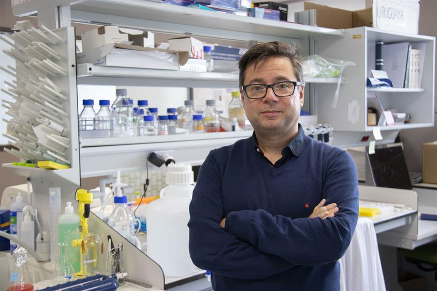 Entre esos científicos está el investigador del Instituto de Biomedicina y Biotecnología de Cantabria (IBBTEC) Juan Carlos Acosta, que informó sobre el acuerdo mundial.