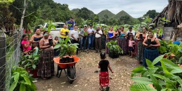 La entrega de 700 plántulas de cacao por parte del MAGA es una inversión agrícola. / Foto: MAGA.