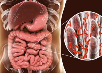 Investigadores descubren en el microbioma cientos de moléculas como potenciales antibióticos.