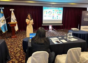 Segeplan capacita a entidades públicas sobre las Prioridades de Desarrollo. / Foto: Segeplan.