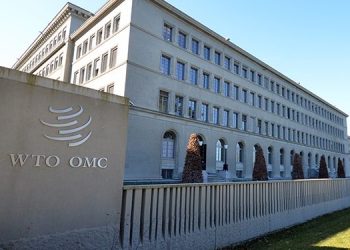 Según el Mineco, Guatemala y China negocian ingreso de macadamia y café en la Organización Mundial del Comercio. / Foto: OMC.