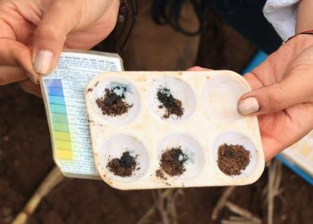 MAGA lanza red nacional de laboratorios para optimizar el uso del suelo