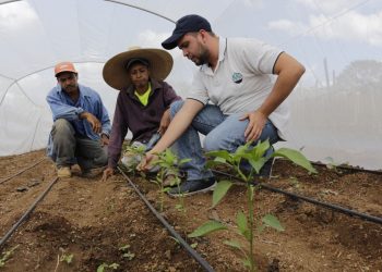 Convocatoria para transformar el campo, únete al MAGA como extensionista