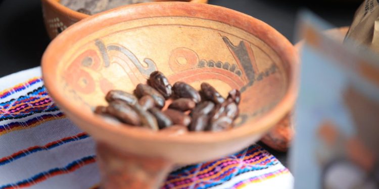 MAGA impulsa el crecimiento del cacao en Centroamérica