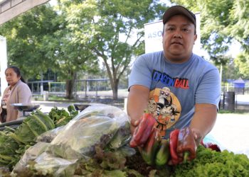 Reajuste presupuestario contribuirá a generar mejores oportunidades para los agricultores. /Foto: Gilber García.