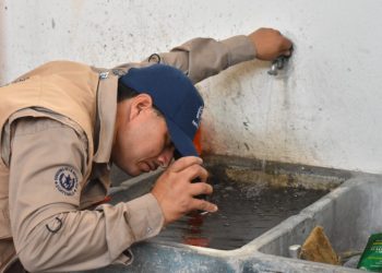 Personal de Salud inspecciona piletas para evitar la proliferación de mosquitos portadores de dengue. /Foto: MSPAS.