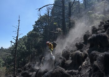 Brigadista combate incendio en el volcán de Agua. /Foto: Álvao Interiano.