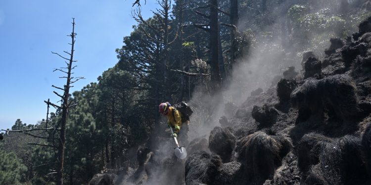 Brigadista combate incendio en el volcán de Agua. /Foto: Álvao Interiano.