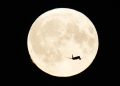 Un avión vuela en el cielo adornado por la Superluna Azul en Copenhague, Dinamarca. / Foto: EFE.