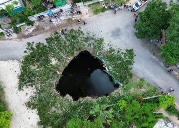 La ceiba cayó dentro del cenote de agua turbia. / Foto: Hola Valladolid.