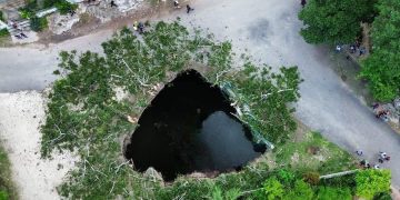 La ceiba cayó dentro del cenote de agua turbia. / Foto: Hola Valladolid.