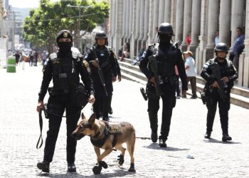 Operativos en Plaza de la Constitución: combate al narcomenudeo con intervención de la SGAIA