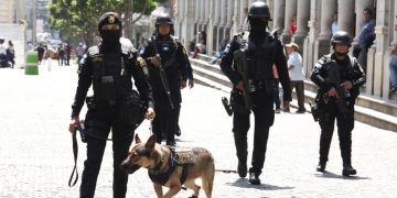 Operativos en Plaza de la Constitución: combate al narcomenudeo con intervención de la SGAIA